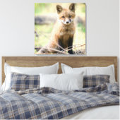Niedliche Kleintiere | Baby Fox Leinwanddruck (Insitu (Schlafzimmer))