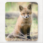 Niedliche Kleintiere | Baby Fox Mousepad (Vorne)