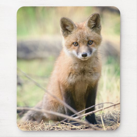 Niedliche Kleintiere | Baby Fox Mousepad (Vorne)