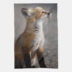 Niedliche Kleintiere   Baby Fox Portrait Geschirrtuch