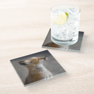 Niedliche Kleintiere Baby Fox Portrait Glasuntersetzer