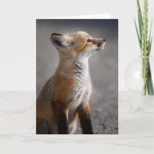Niedliche Kleintiere Baby Fox Portrait Karte