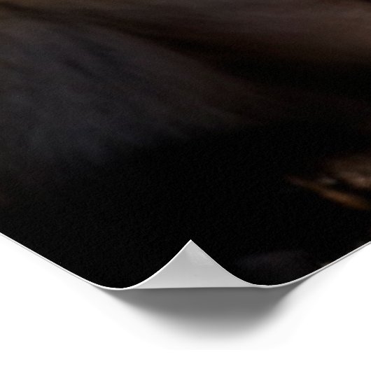 Niedliche Kleintiere | Baby Fox Portrait Poster (Ecke)