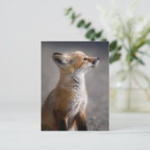 Niedliche Kleintiere | Baby Fox Portrait Postkarte (Stehend Vorderseite)