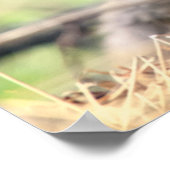 Niedliche Kleintiere | Baby Fox Poster (Ecke)