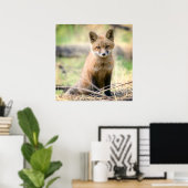 Niedliche Kleintiere | Baby Fox Poster (Heimbüro)