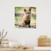 Niedliche Kleintiere | Baby Fox Poster (Küche)