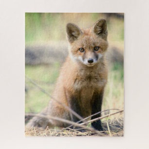 Niedliche Kleintiere Baby Fox Puzzle