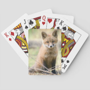 Niedliche Kleintiere   Baby Fox Spielkarten