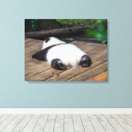 Niedliche Kleintiere | Baby Giant Panda Schlafen Leinwanddruck (Insitu (Holzboden))