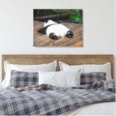Niedliche Kleintiere | Baby Giant Panda Schlafen Leinwanddruck (Insitu (Schlafzimmer))