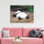 Niedliche Kleintiere | Baby Giant Panda Schlafen Leinwanddruck (Insitu (Wohnzimmer))