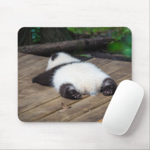 Niedliche Kleintiere Baby Giant Panda Schlafen Mousepad