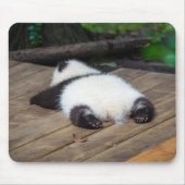 Niedliche Kleintiere | Baby Giant Panda Schlafen Mousepad (Vorne)