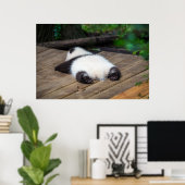 Niedliche Kleintiere | Baby Giant Panda Schlafen Poster (Heimbüro)