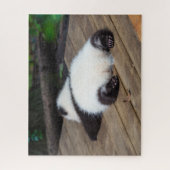 Niedliche Kleintiere | Baby Giant Panda Schlafen Puzzle (Vertikal)