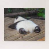 Niedliche Kleintiere | Baby Giant Panda Schlafen Puzzle (Horizontal)