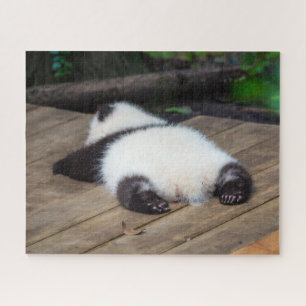 Niedliche Kleintiere   Baby Giant Panda Schlafen Puzzle