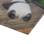 Niedliche Kleintiere | Baby Giant Panda Schlafen Schneidebrett (Ecke)