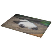 Niedliche Kleintiere | Baby Giant Panda Schlafen Schneidebrett (Ecke)