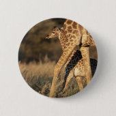 Niedliche Kleintiere | Baby Giraffe & Parent Button (Vorderseite)