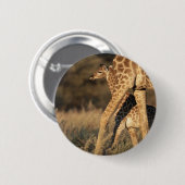 Niedliche Kleintiere | Baby Giraffe & Parent Button (Vorne & Hinten)