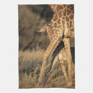 Niedliche Kleintiere Baby Giraffe & Parent Geschirrtuch