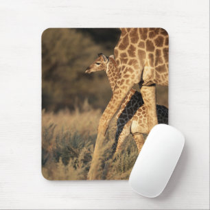 Niedliche Kleintiere Baby Giraffe & Parent Mousepad