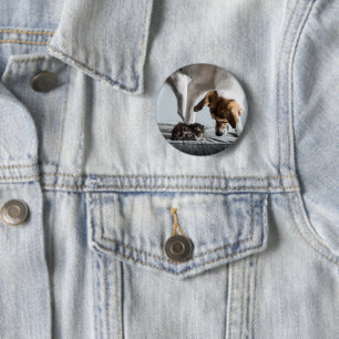 Niedliche Kleintiere Baby Kitten & Dog Button