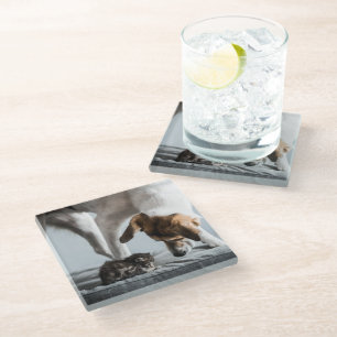 Niedliche Kleintiere Baby Kitten & Dog Glasuntersetzer
