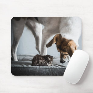 Niedliche Kleintiere   Baby Kitten & Dog Mousepad