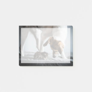 Niedliche Kleintiere Baby Kitten & Dog Post-it Klebezettel