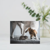 Niedliche Kleintiere | Baby Kitten & Dog Postkarte (Stehend Vorderseite)