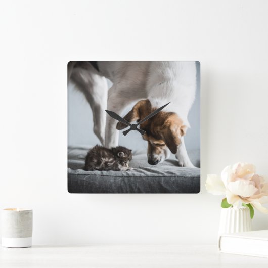 Niedliche Kleintiere | Baby Kitten & Dog Quadratische Wanduhr (Zuhause)