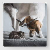 Niedliche Kleintiere | Baby Kitten & Dog Quadratische Wanduhr (Vorderseite)