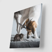 Niedliche Kleintiere | Baby Kitten & Dog Quadratische Wanduhr (Winkel)