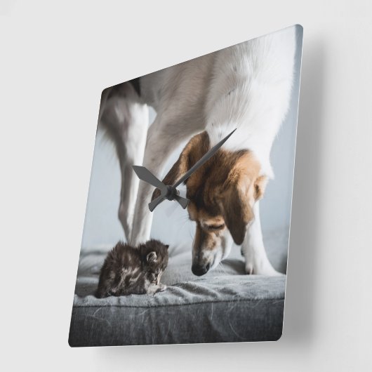 Niedliche Kleintiere | Baby Kitten & Dog Quadratische Wanduhr (Winkel)