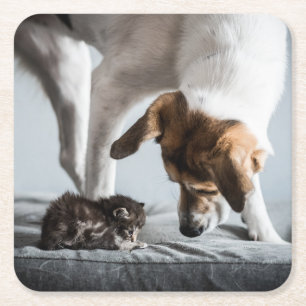 Niedliche Kleintiere Baby Kitten & Dog Rechteckiger Pappuntersetzer