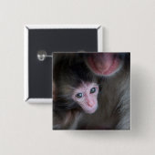 Niedliche Kleintiere | Baby Macaque Monkey & Mothe Button (Vorne & Hinten)
