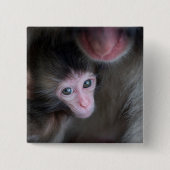 Niedliche Kleintiere | Baby Macaque Monkey & Mothe Button (Vorderseite)