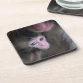 Niedliche Kleintiere | Baby Macaque Monkey & Mothe Getränkeuntersetzer (Linke Seite)