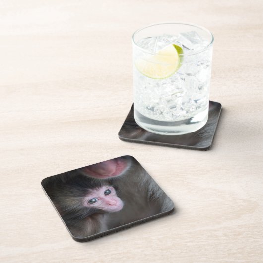 Niedliche Kleintiere | Baby Macaque Monkey & Mothe Getränkeuntersetzer (Rechte Seite)