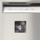 Niedliche Kleintiere | Baby Macaque Monkey & Mothe Magnet (In Situ (Geschirrspüler))
