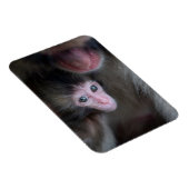 Niedliche Kleintiere | Baby Macaque Monkey & Mothe Magnet (Rechte Seite)