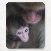 Niedliche Kleintiere | Baby Macaque Monkey & Mothe Mousepad (Vorne)