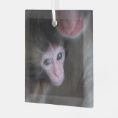 Niedliche Kleintiere | Baby Macaque Monkey & Mothe Ornament Aus Glas (Vorderseite links)