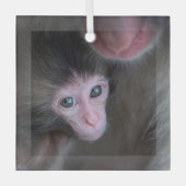 Niedliche Kleintiere | Baby Macaque Monkey & Mothe Ornament Aus Glas (Vorderseite)