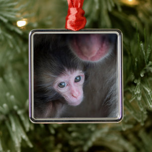 Niedliche Kleintiere Baby Macaque Monkey & Mothe Ornament Aus Metall