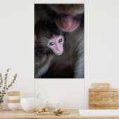 Niedliche Kleintiere | Baby Macaque Monkey & Mothe Poster (Küche)