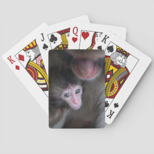Niedliche Kleintiere   Baby Macaque Monkey & Mothe Spielkarten